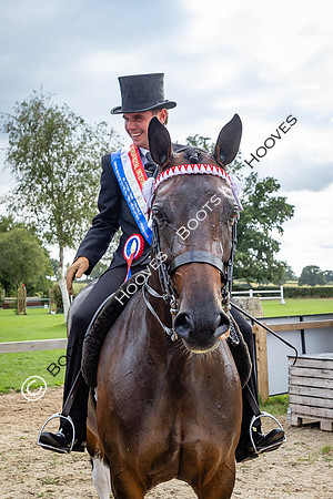 The Royal International Horse Show