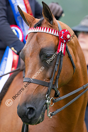 The Prenetics Royal International Horse Show
