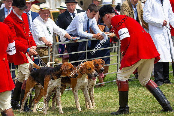 Festival of Hunting
