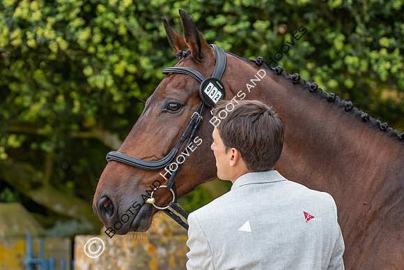 Badminton Horse Trials