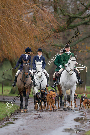 Bloodhounds