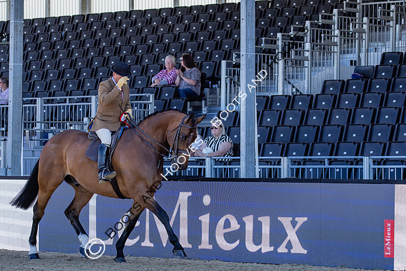 Royal Windsor Horse Show