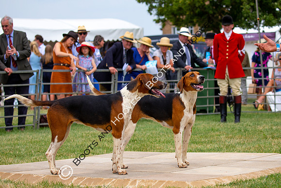 Festival of Hunting