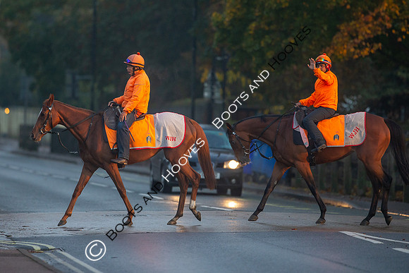 Newmarket