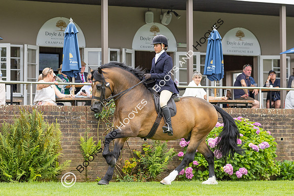 The Agria Royal International Horse Show