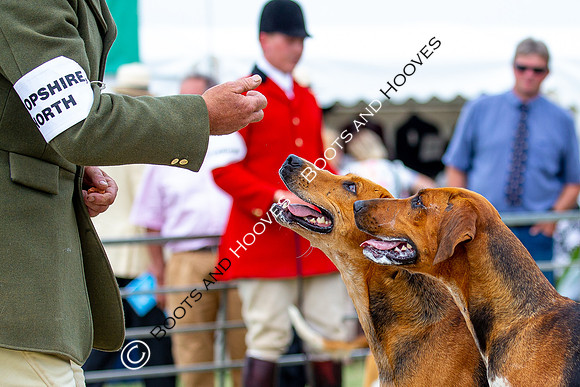 Festival of Hunting