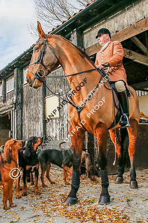 Coakham Bloodhounds