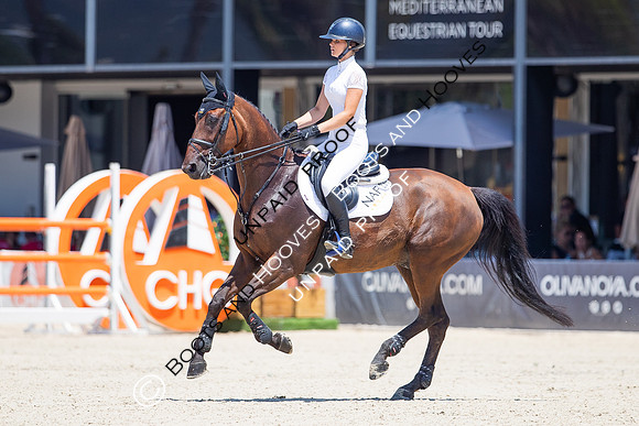 FEI Junior European Championship Young Riders, Juniors & Childre