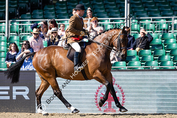 Royal Windsor Horse Show