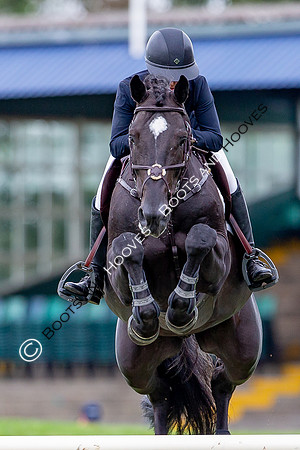 Science Supplements All England Jumping Championships