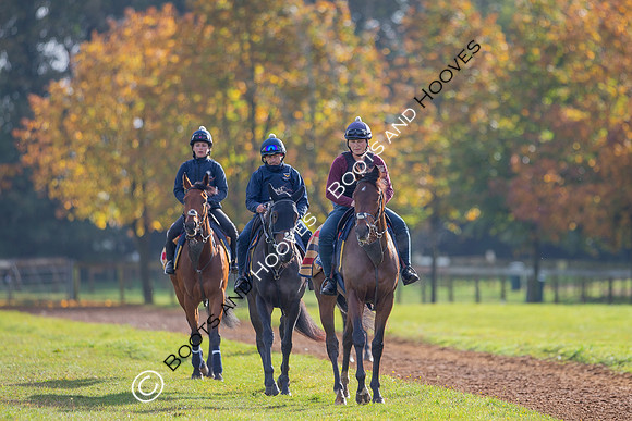 Newmarket