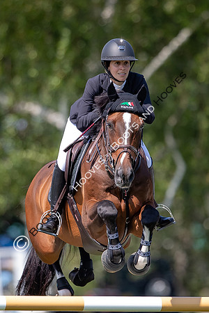 The Prenetics Royal International Horse Show