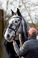 East Essex Hunt. Ladies Day. 29/01/2019 ~ MANDATORY Credit Elli Birch/Bootsandhooves - NO UNAUTHORISED USE - 07745 909676