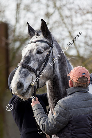 East Essex Hunt. Ladies Day. 29/01/2019 ~ MANDATORY Credit Elli Birch/Bootsandhooves - NO UNAUTHORISED USE - 07745 909676