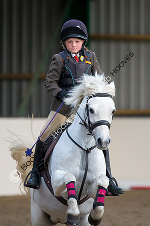 EHNPC. Showjumping. Credit Elli Birch/Bootsandhooves - NO UNAUTHORISED USE - 07745909676