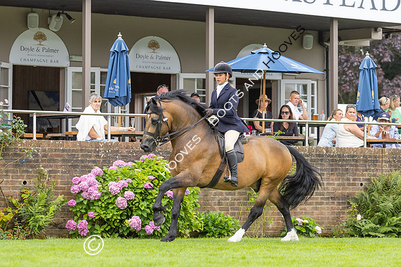 The Agria Royal International Horse Show