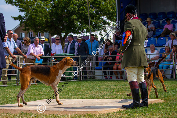 Festival of Hunting