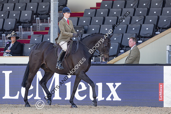 Royal Windsor Horse Show
