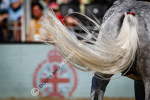 Royal Windsor Horse Show