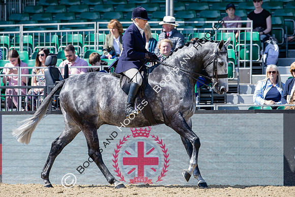 Royal Windsor Horse Show