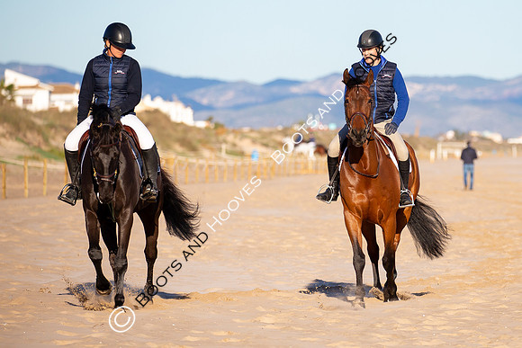 Showjumping