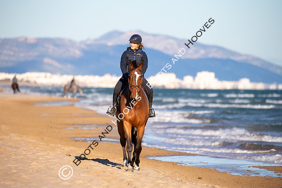 Showjumping