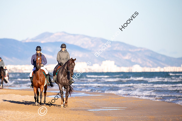 Showjumping