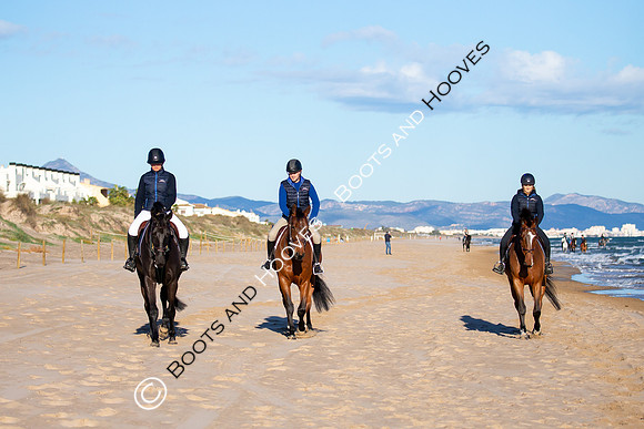 Showjumping