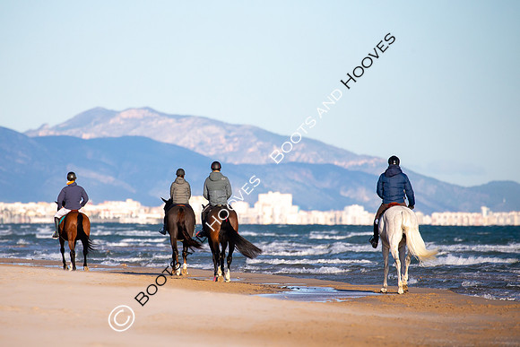 Showjumping