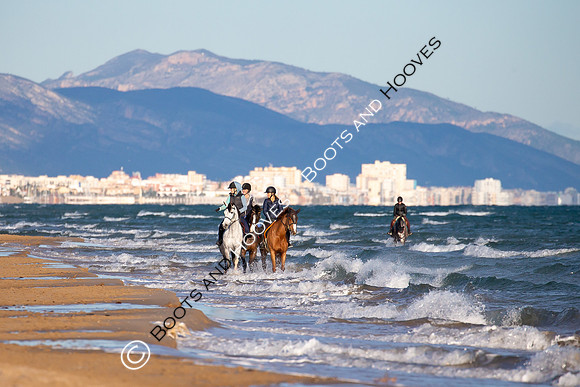 Showjumping