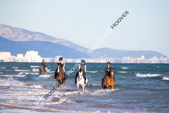 Showjumping