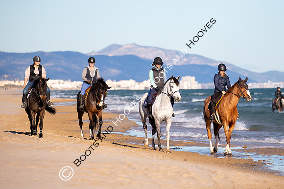 Showjumping