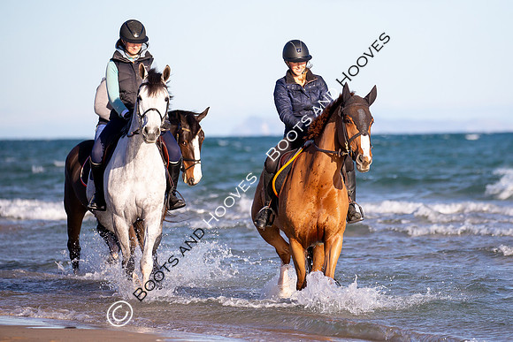Showjumping