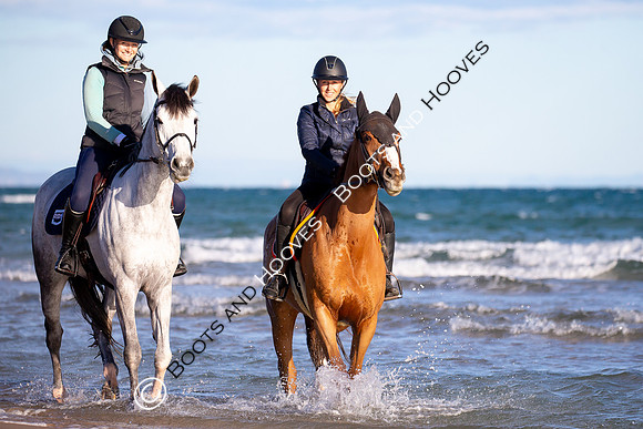 Showjumping