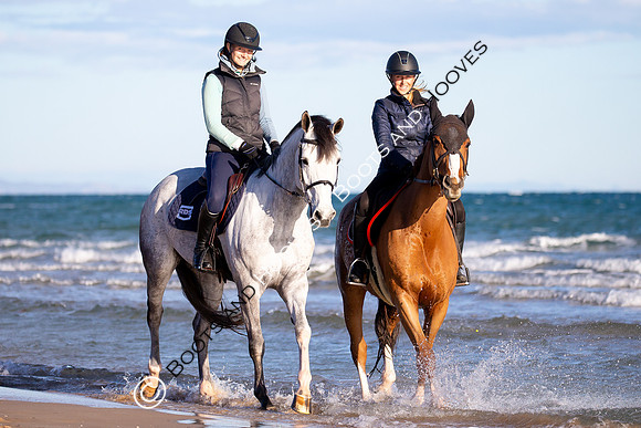 Showjumping
