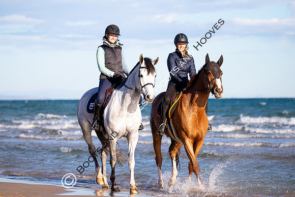 Showjumping