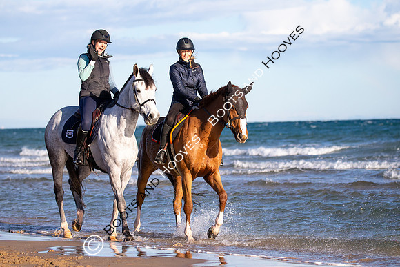 Showjumping