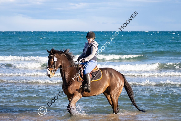 Showjumping