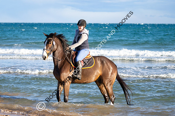 Showjumping