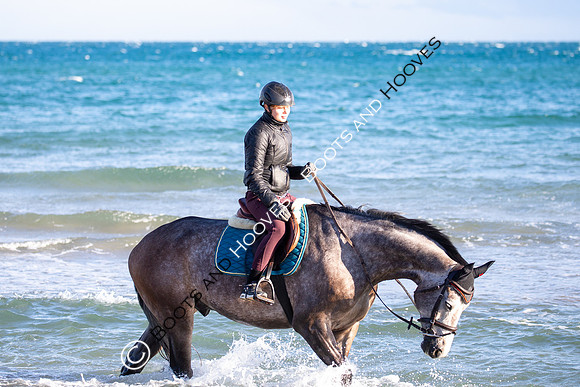 Showjumping
