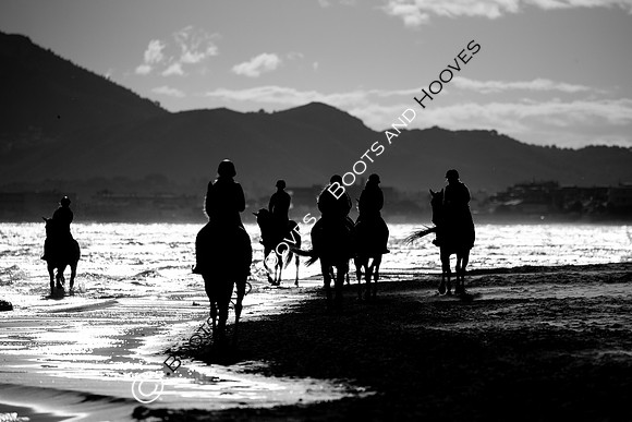 Showjumping