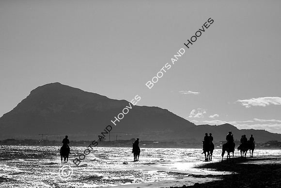 Showjumping