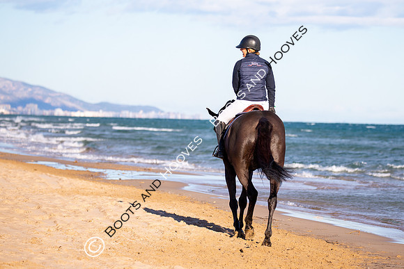 Showjumping