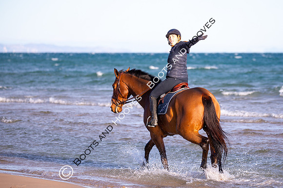 Showjumping