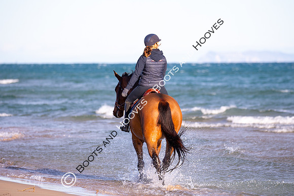 Showjumping