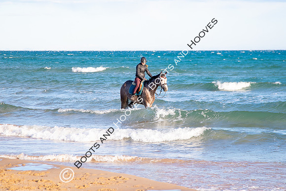 Showjumping