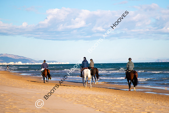 Showjumping