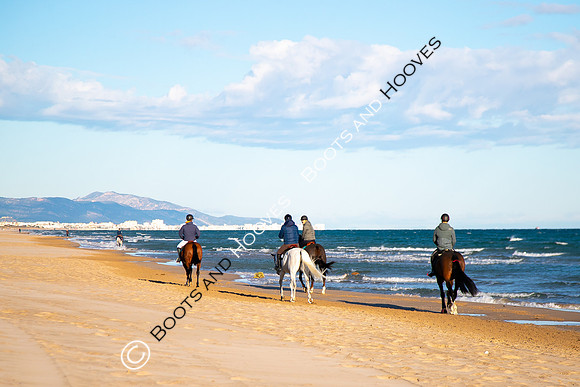 Showjumping