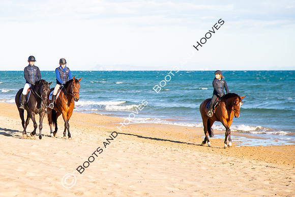 Showjumping