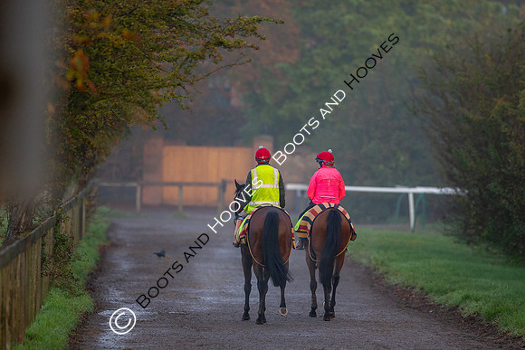Newmarket